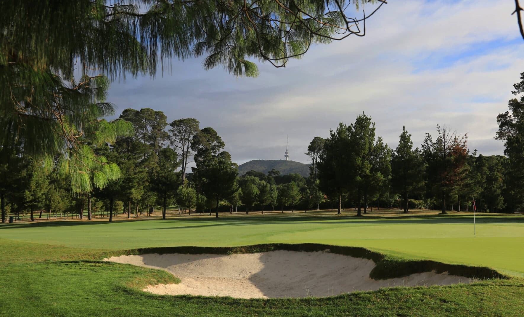 Cover image for Canberra in Springtime